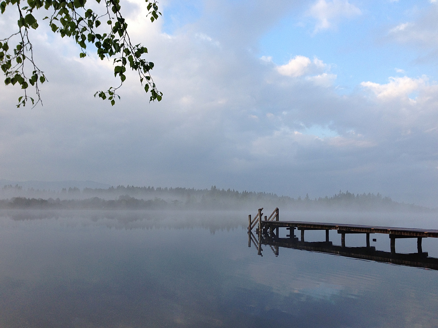 Kirchsee Steg im Nebel