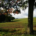 Kirchturm-Blick