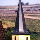 Kirchturm der alten St. Martinskirche