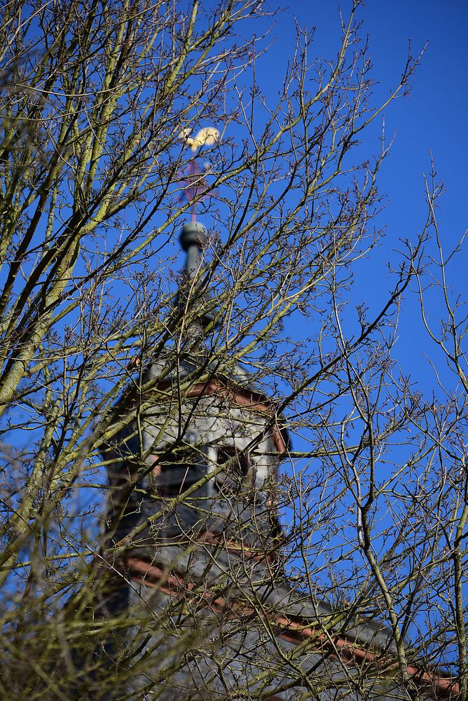 Kirchturm hinter Astwerk versteckt