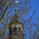 Kirchturm hinter Astwerk versteckt