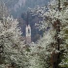 Kirchturm im Blütenmeer