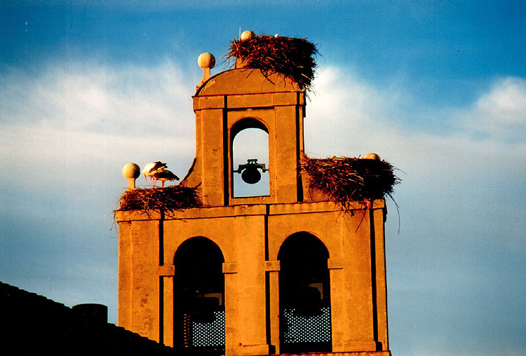 Kirchturm in León