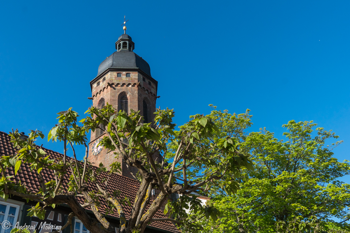 Kirchturm Kandel