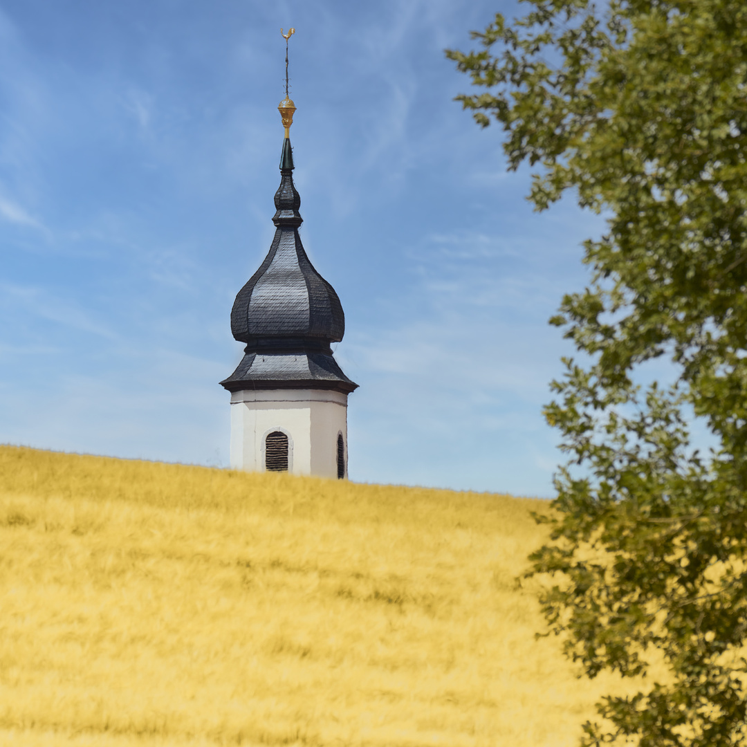 Kirchturm überm Kornfeld