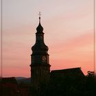 Kirchturm von Kallstadt an der Weinstraße im Abendlicht