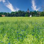 Kirchturm von Schorbus