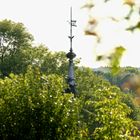 Kirchturmspitze im Grünen