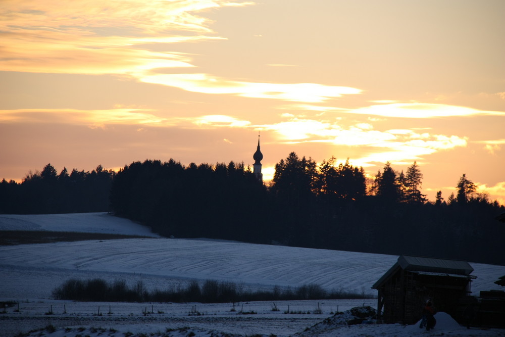 Kirchturmspitze im Wald am Abend