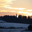 Kirchturmspitze im Wald am Abend