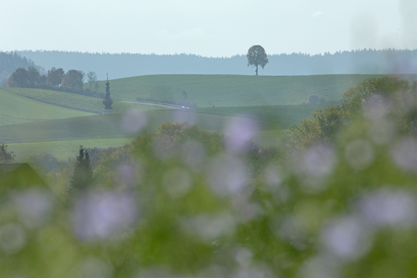 Kirchturmspitze und Baum