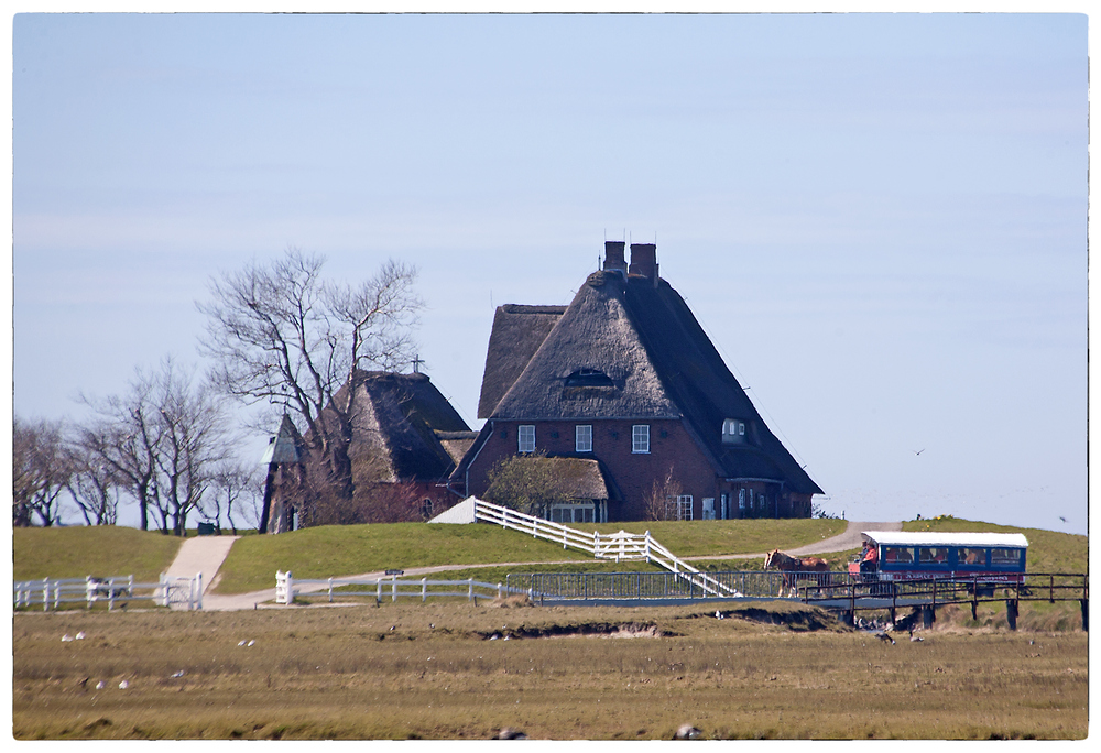 Kirchwarft auf Hallig Hooge