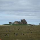 Kirchwarft auf Hallig Hooge