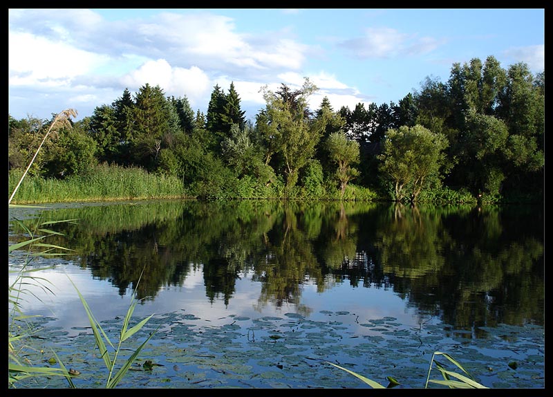 Kirchwerder am Nachmittag