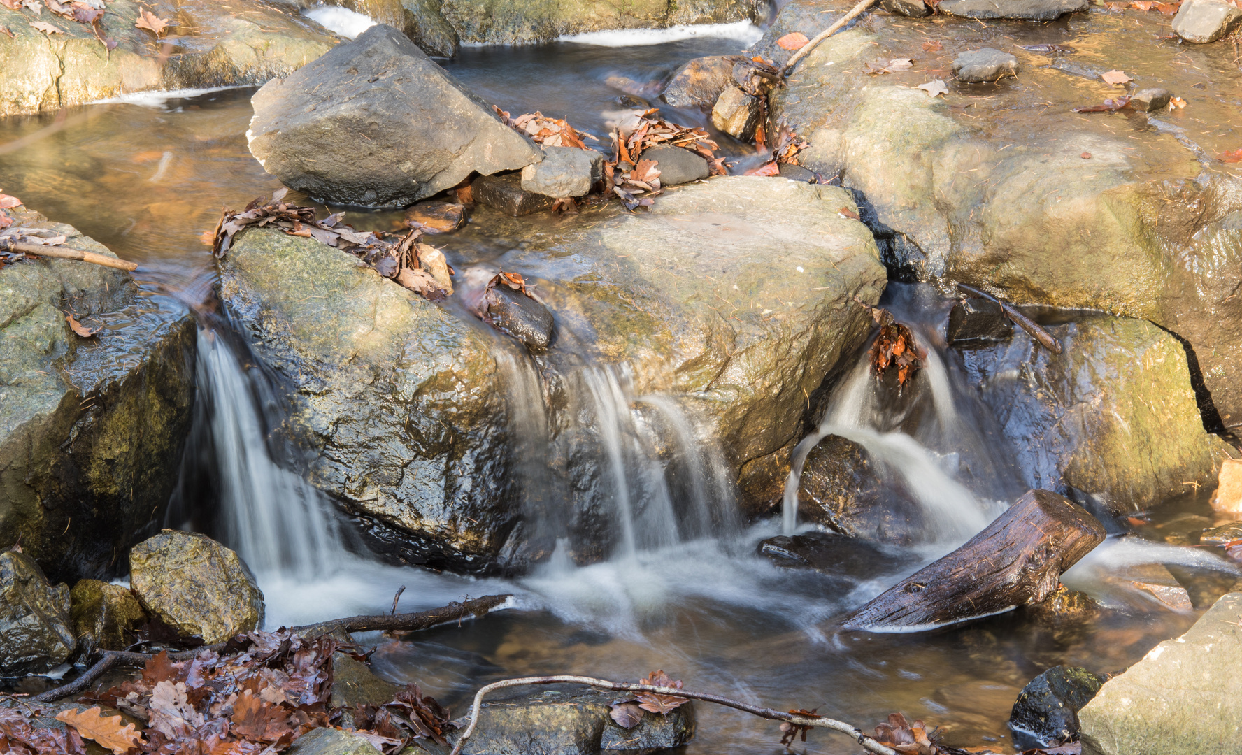 Kirdorfer Bach (Kameratest EOS 7D Mark II)