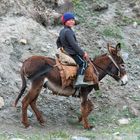 Kirgisischer Jung Bauer und Halbnomade