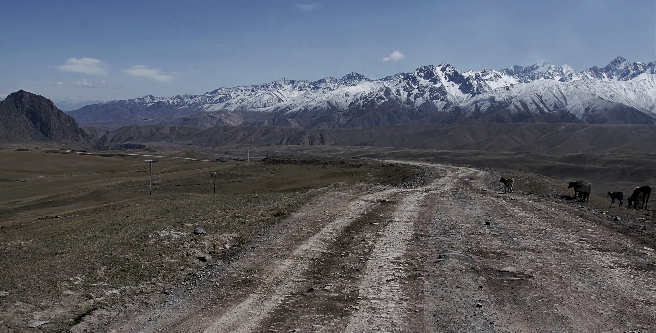 Kirgistan, auf ca. 3200 m. etwa 120 km. vor der chinesischen Grenze