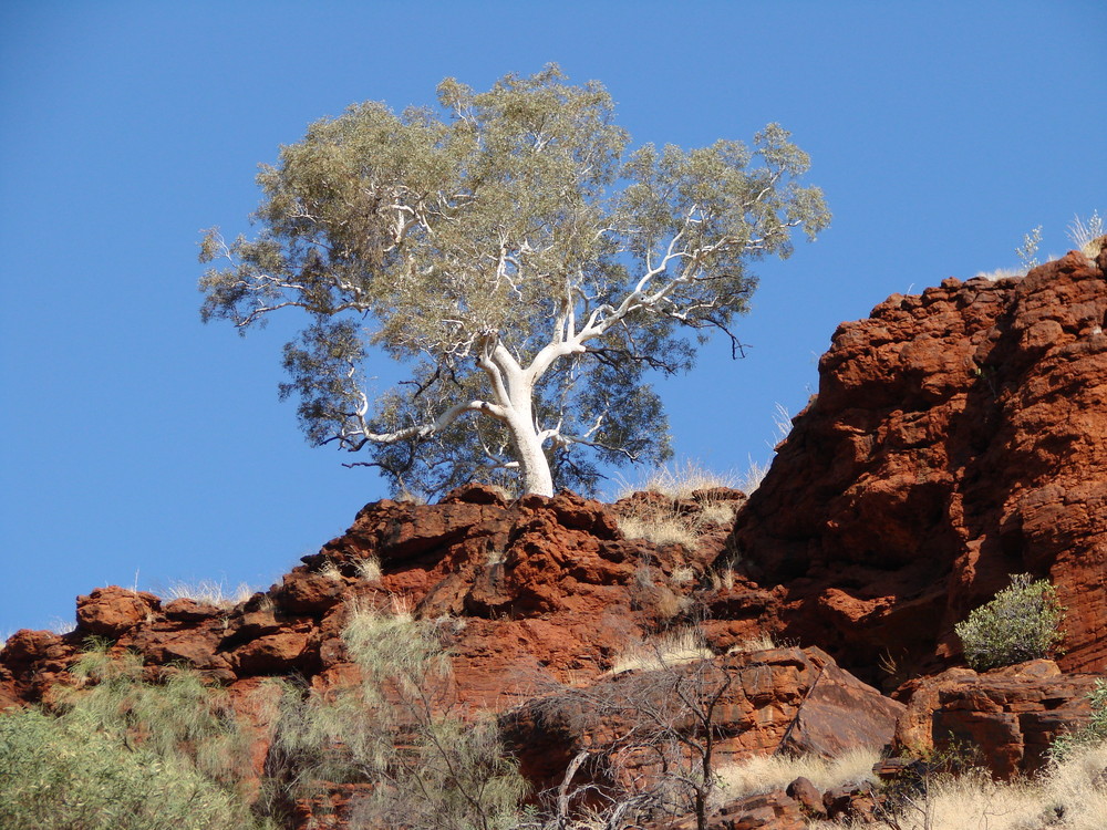 Kirijini NP West Australien