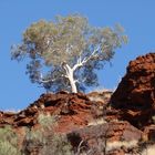 Kirijini NP West Australien