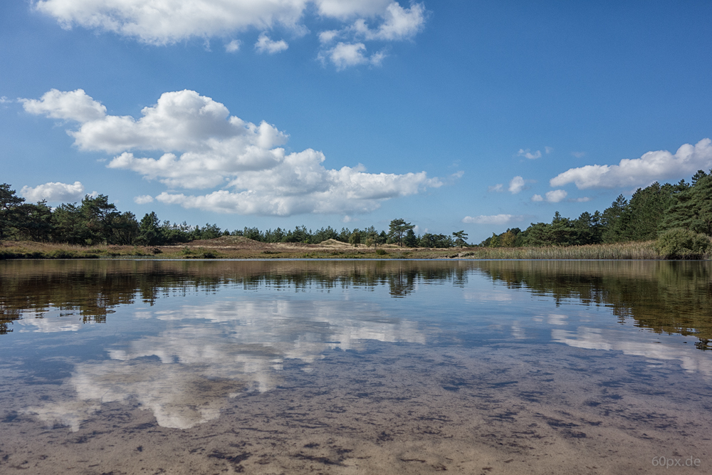 Kirkeby Plantage