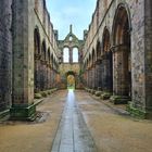 - Kirkstall Abbey - Leeds - United Kingdom -