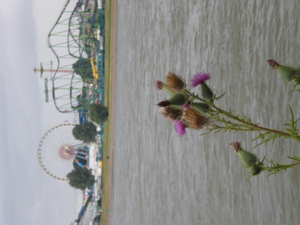 Kirmes in Düsseldorf