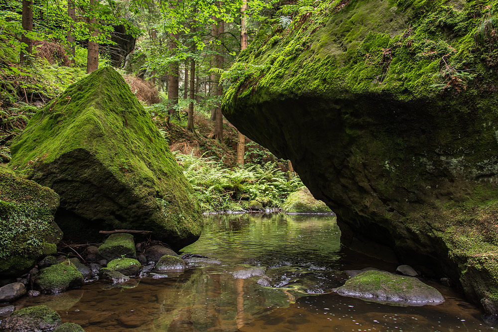 Kirnitzsch-Impressionen