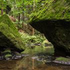 Kirnitzsch-Impressionen