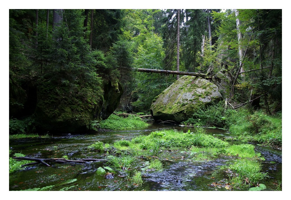 Kirnitzschklamm