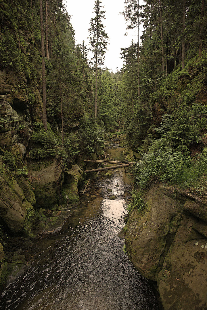 Kirnitzschklamm