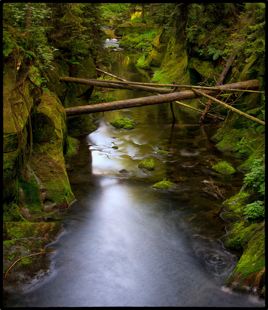 Kirnitzschtal Wilderness