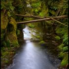 Kirnitzschtal Wilderness