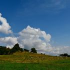 Kirschbachtal in der Nähe von Weimar