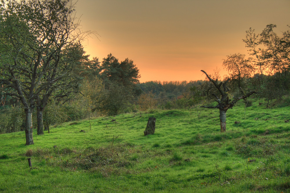 Kirschberg in der Heide