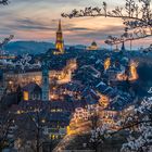 Kirschblüte in Bern am Abend