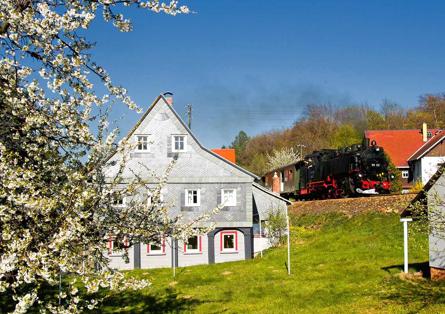 Kirschblüte in Jonsdorf