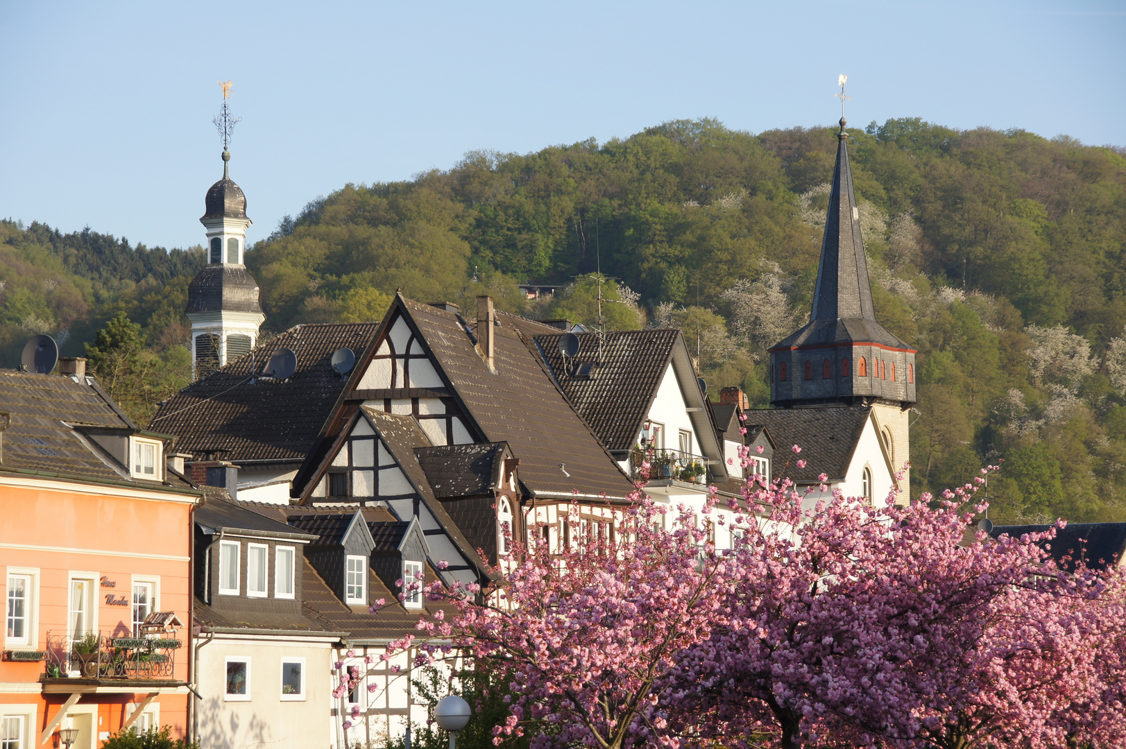 Kirschblüte in Oberwinter (2)