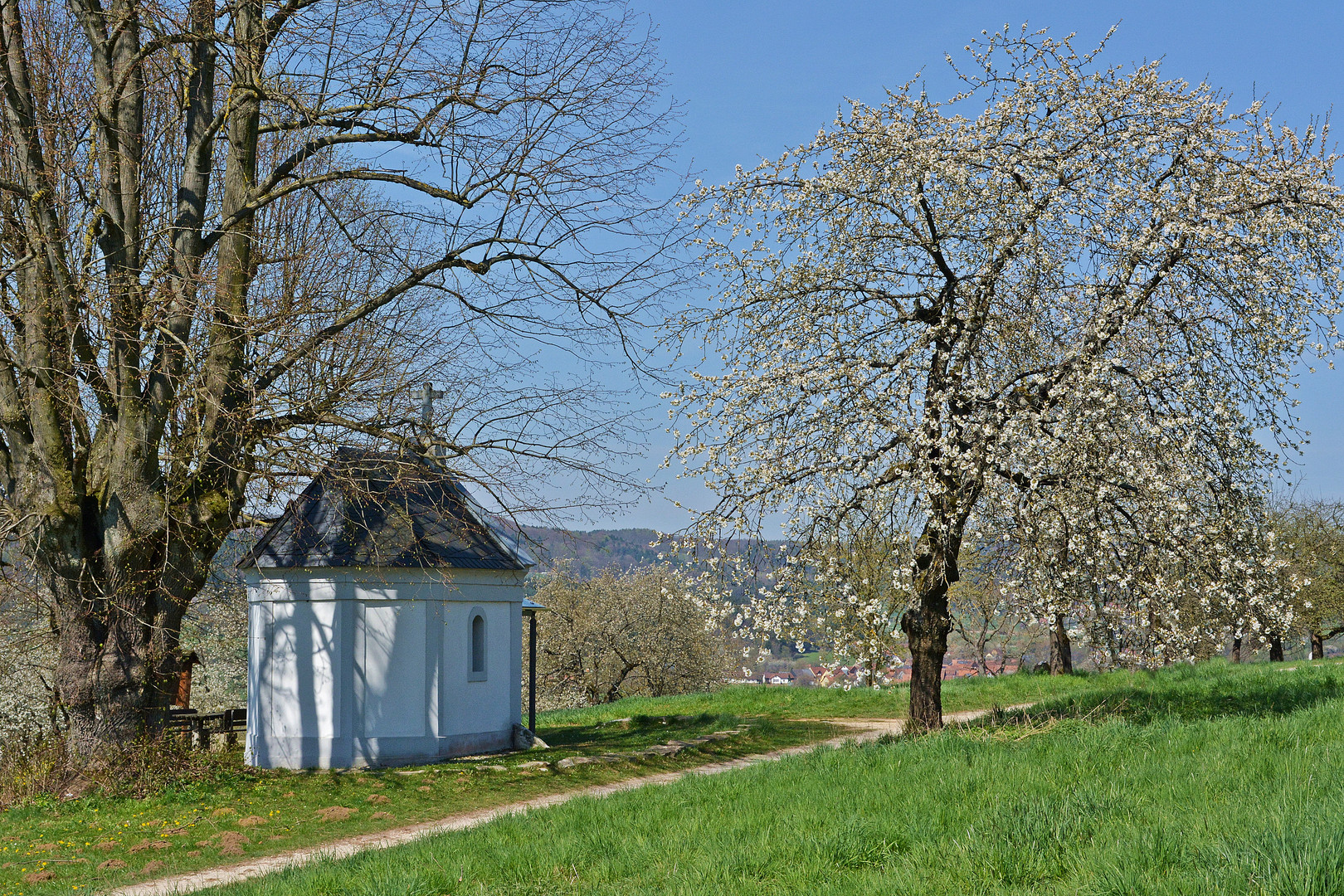 Kirschblüte Pretzfeld 2015