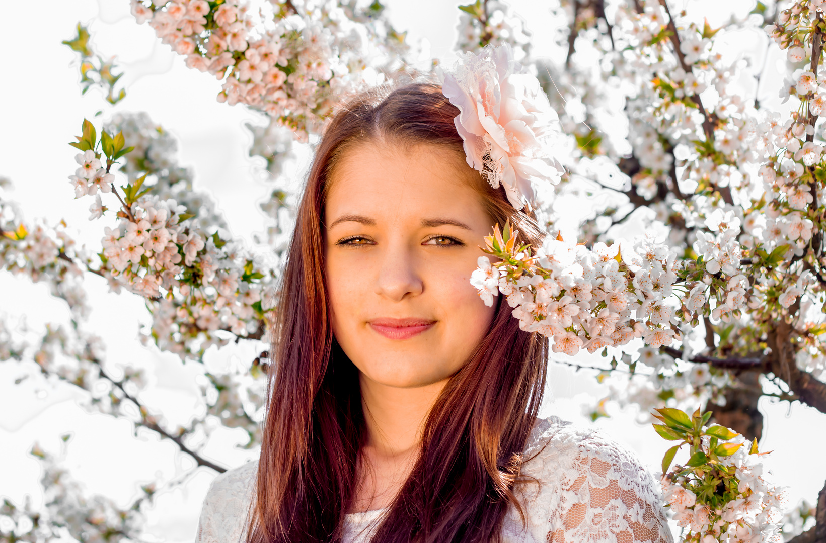 Kirschblüten Frühlingsshooting