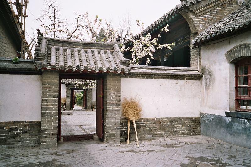 Kirschblüten in Qu Fu