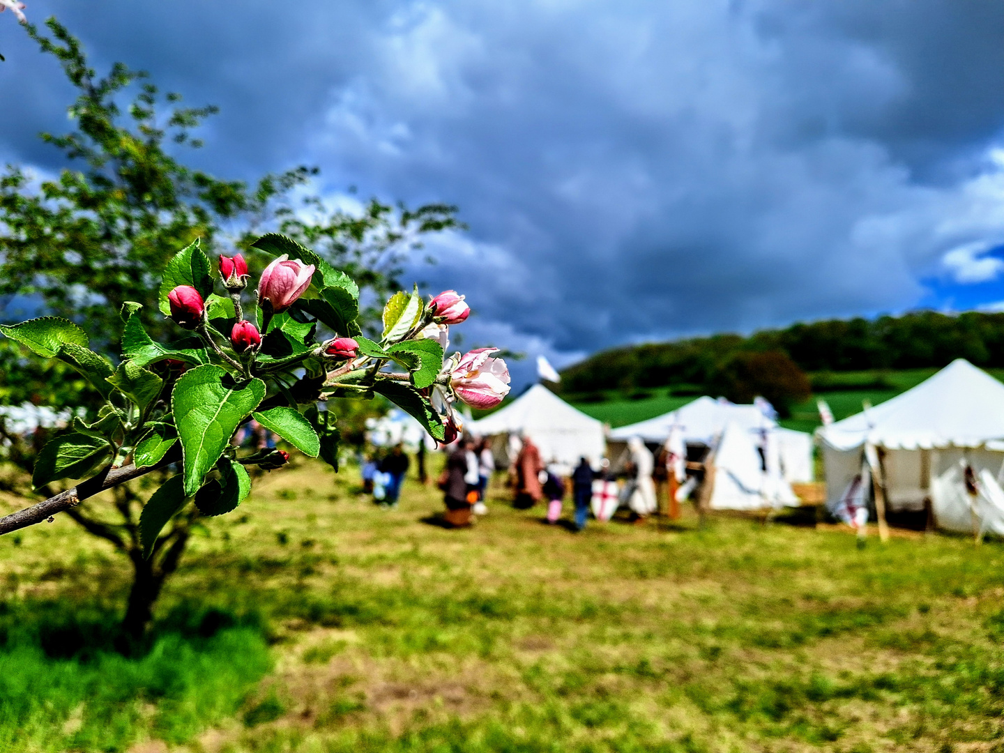 Kirschblütenfest...