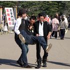 Kirschblütenfest in Japan