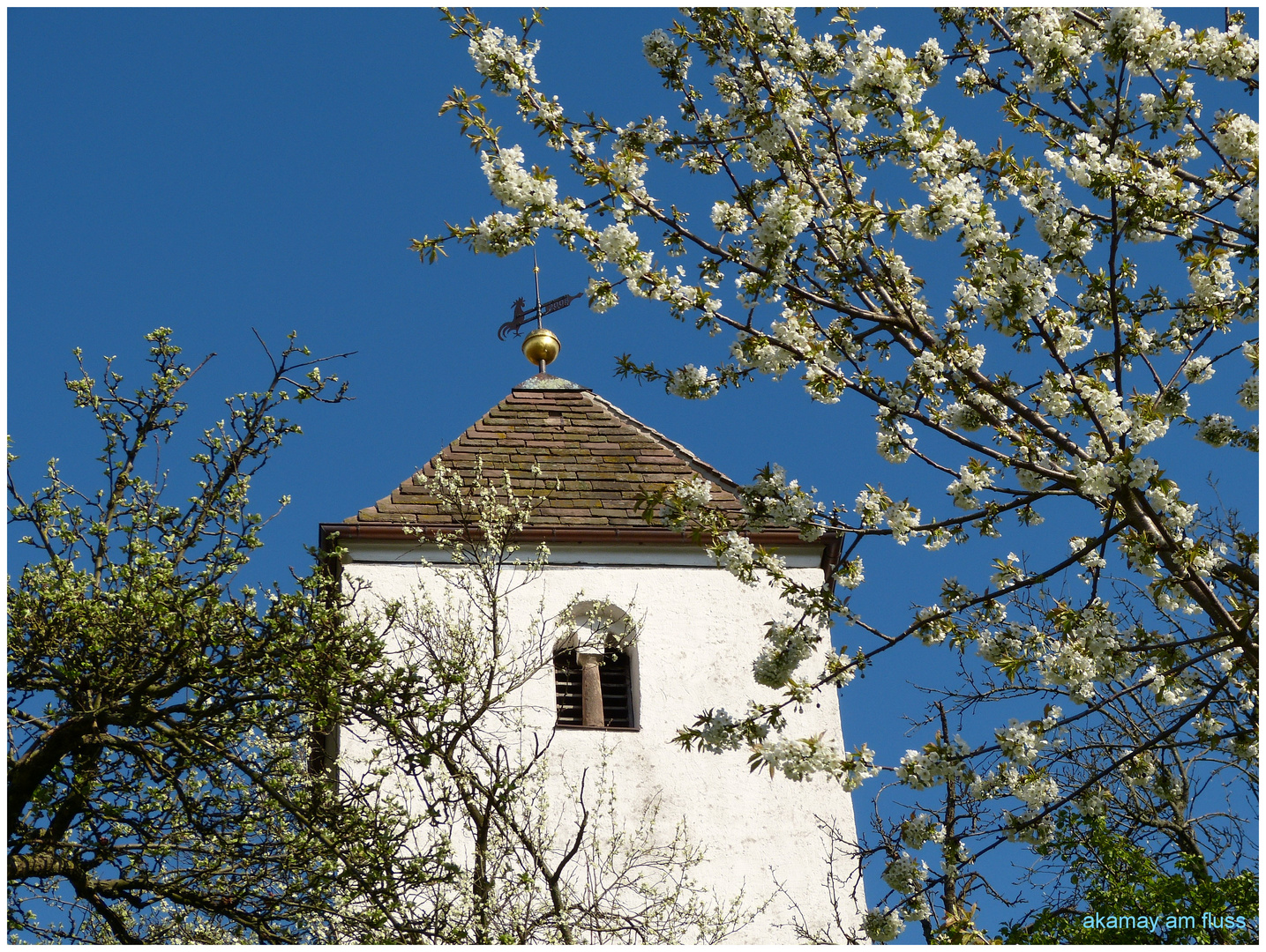 Kirschblütenfest Weserbergland