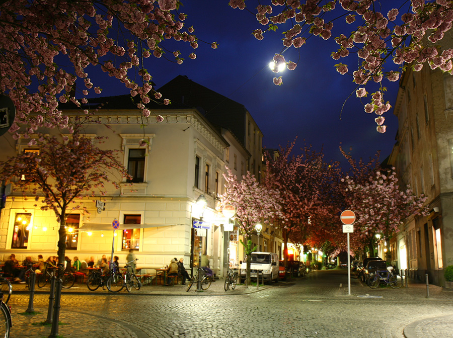 Kirschblütenkoinzidenz in der Heerstraße