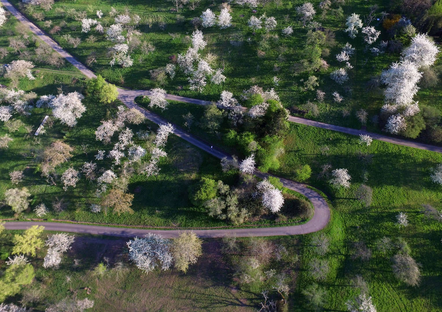 KIRSCHBLÜTENWEG