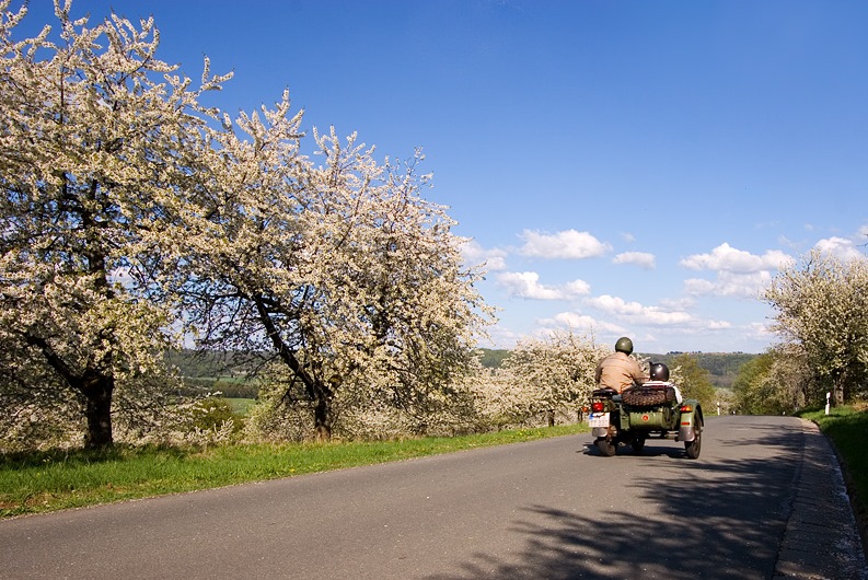 Kirschblütenzeit in Franken