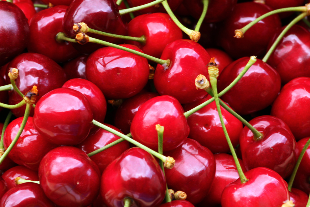 Kirschen, Foto & Bild | pflanzen, pilze & flechten, früchte und