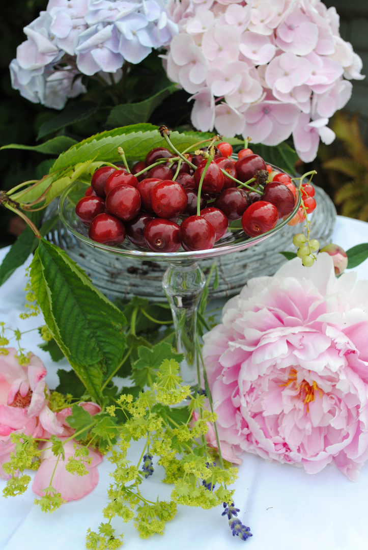 Kirschen und Blüten