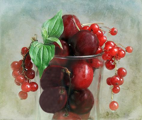  Kirschen  und Johannisbeeren 