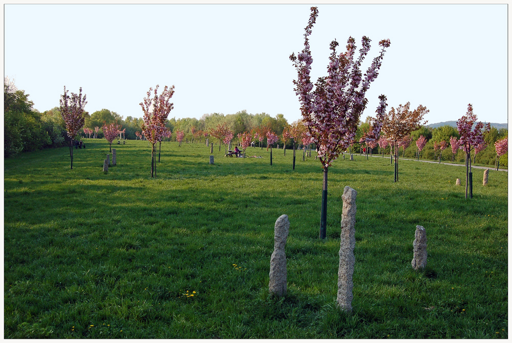 Kirschenhain... Foto & Bild | europe, Österreich, wien Bilder auf